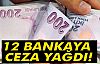 12 Bankaya Ceza Yağdı!