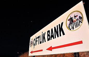 Çiftlik Bank'ın 'finans müdürü' tutuklandı