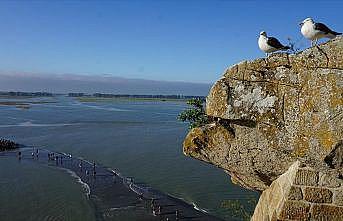 Metcezirin doğayı dönüştürdüğü yer: Mont Saint Michel