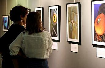 'Sualtından Geleceğe' fotoğraf sergisi açıldı