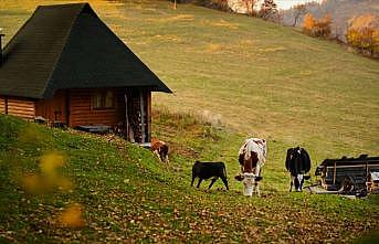 Bosna Hersek'te sonbahar renkleri