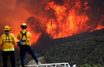 California'daki yangınlarda ölü sayısı 74'e yükseldi