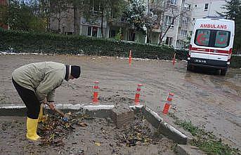 Edirne'de selin ardından temizlik çalışmaları başladı