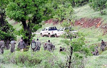 Örgüt içinde doğan çocuklar para karşılığı satılıyor