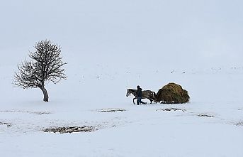 Besicilerin kara kışta zorlu mesaisi