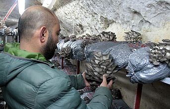 Eski hükümlü mantar üreticiliğiyle hayata tutundu