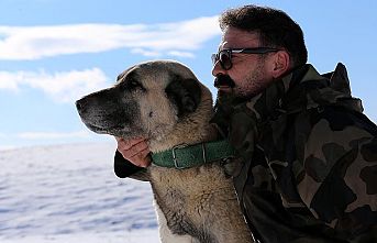 Ömrünü Kangal köpeği yetiştiriciliğine adadı