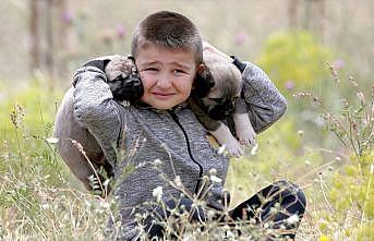 Kangal köpekleriyle büyüyor