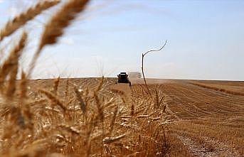 Tarım ve ormancılığın 25 yıllık yol haritası oluşturulacak