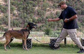 18 yılda 150 arama kurtarma köpeği yetiştirdi