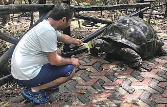 Dev kaplumbağalarıyla ünlü eski köle adası: Changuu