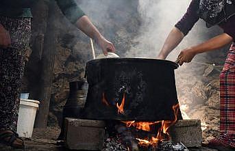 KOAH gelişiminde 'biyoyakıt dumanı' tehlikesi