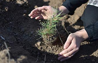 Öğretmenler adına fidan sahiplenme imkanı