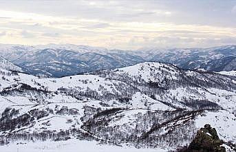 Tunceli'de doğa karla kaplanınca eşsiz güzellikler ortaya çıktı