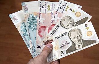 Yeni Türk Lirası banknotların zaman aşımı yıl sonunda dolacak