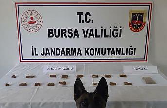 Bursa'da evinde uyuşturucu ele geçirilen şüpheli gözaltına alındı