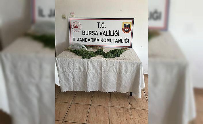 Bursa'da uyuşturucu operasyonunda iki kişi gözaltına alındı