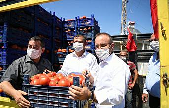 AK Parti Grup Başkanvekili Turan, domates hasat şenliğine katıldı: