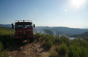 Balıkesir'de fidanların bulunduğu yetiştirme sahasında orman yangını