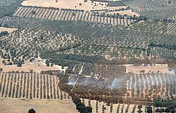 Çanakkale'deki Alexandria Troas Antik Kenti'nde çıkan yangın söndürüldü