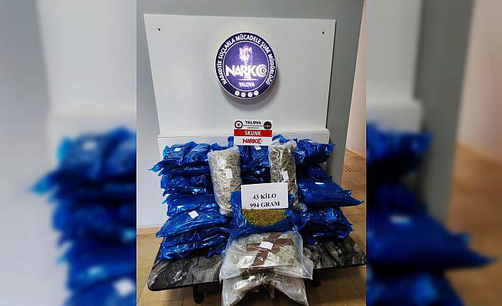 Kapıkule Sınır Kapısı'nda 44 kilogram skunk ele geçirildi