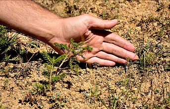 Türkiye'nin "Biyolojik Çeşitlilik Haritası" oluşturuldu