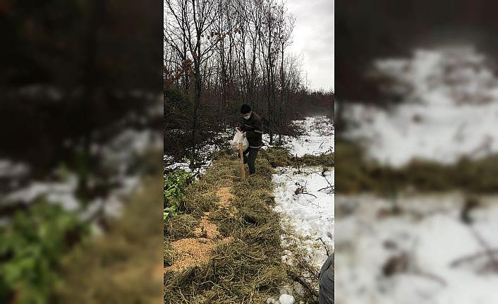 Tekirdağ'da yaban hayvanları için doğaya 4,5 ton yem bırakıldı