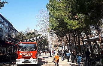 Kocaeli'de ağaçta mahsur kalan kediyi itfaiye ekipleri kurtardı