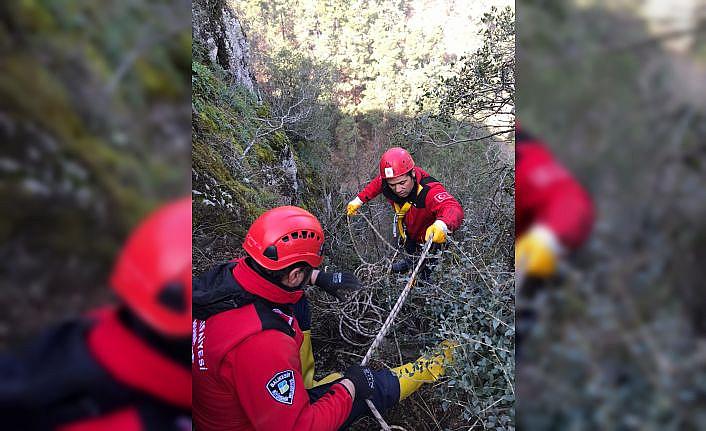 Balıkesir'de kayalıklarla mahsur kalan keçileri itfaiye kurtardı