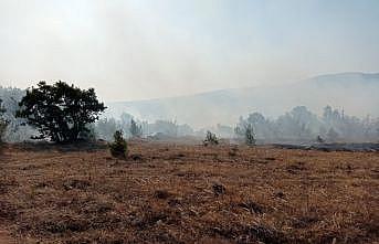 Balıkesir'in Savaştepe ilçesinde orman yangını çıktı