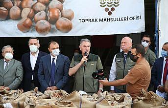 TMO Genel Müdürü Ahmet Güldal'dan fındık alımı değerlendirmesi: