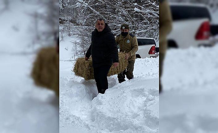 Hayvanlar için doğaya yiyecek bırakıldı