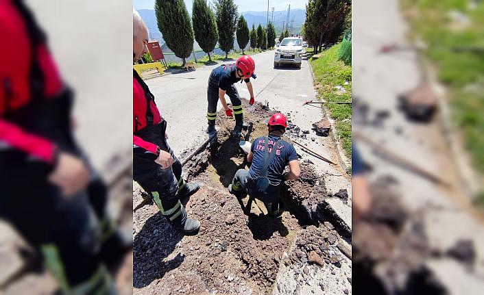 Kocaeli'de yağmur suyu kanalına sıkışan köpek yavrusunu itfaiye kurtardı