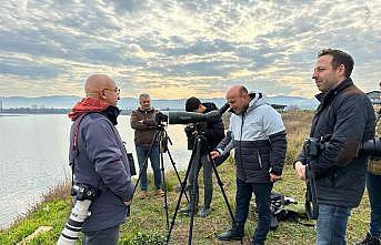 Hersek Lagünü'nde 2023 kuş sayımı yapıldı