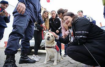 Balonlar otizmde farkındalık için salındı