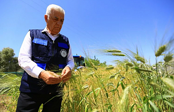 Muğla üretiyor, Büyükşehir destekliyor