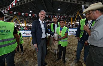 Küçükbaş Hayvancılık Festivali İçin Geri Sayım Başladı