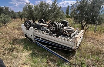 Bursa'da kontrolden çıkan kamyonet zeytin tarlasına devrildi