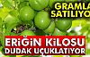 ERİĞİN KİLOSU 300 LİRA!