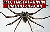 FELÇ HASTALARINA UMUT OLACAK!