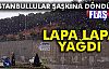 LAPA LAPA YAĞDI!