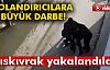 Telefon Dolandırıcılarına Büyük Darbe!