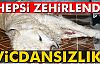 VİCDANSIZLAR!