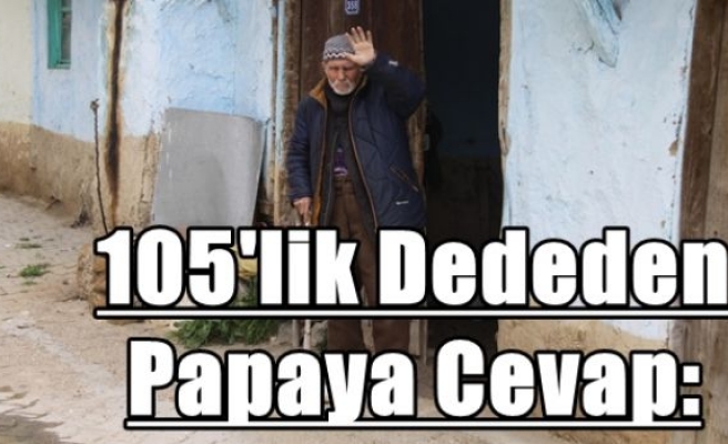 105'lik Dededen Papaya Cevap: