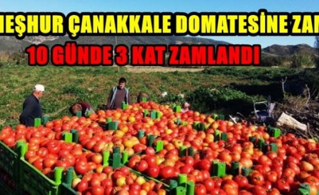 10 günde 3 kat zamlandı