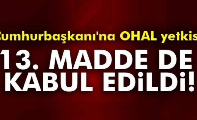 13. madde de kabul edildi