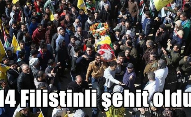  14 Filistinli şehit oldu