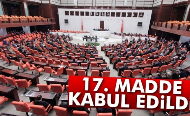 17. madde 342 oyla kabul edildi