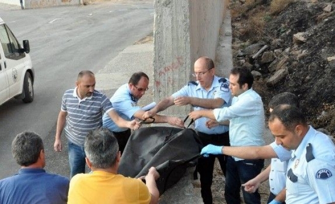 17 Yaşındaki Genç Ölü Bulundu