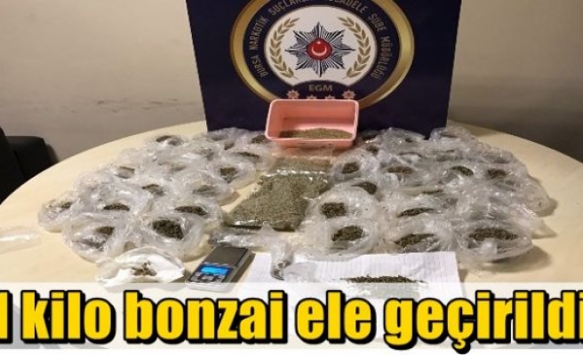 1 kilo bonzai ele geçirildi